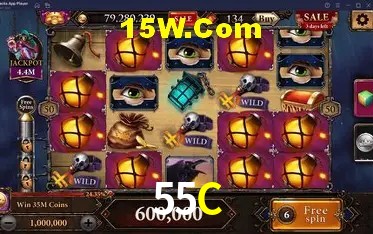 Experiência VIP 55C